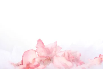 Crédence de cuisine en verre imprimé Roses pink rose petal border