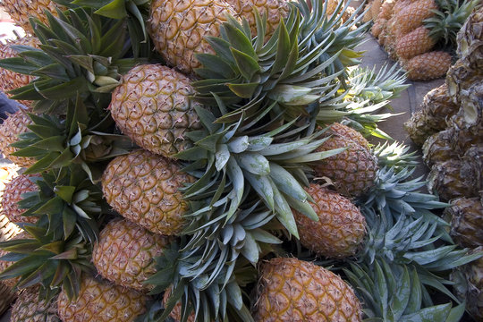 ananas