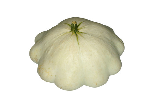p&acirc;tisson