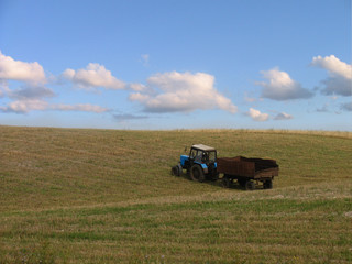 Fototapeta premium the tractor on field.
