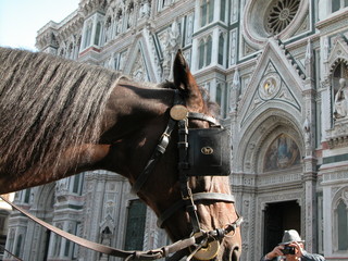 horse at florence church