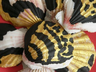 shell in art
