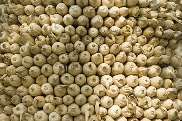 detail of stacked drying corn in ghana, africa