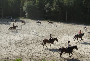 centre equestre