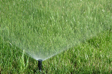 water sprinkler showering grass