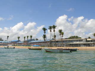 Naklejka premium palm coast