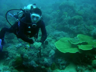 Fotobehang coral reef diver © simon gurney