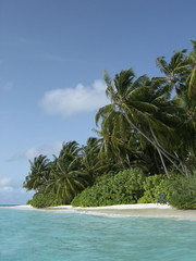 maldivian island coast