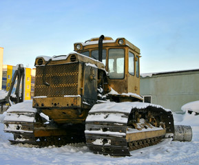caterpillar 1