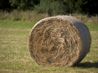 hay bail2