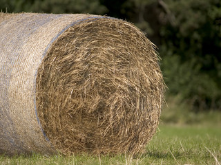 hay bail 3