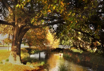 Tuinposter river in autumn © Creativa Images