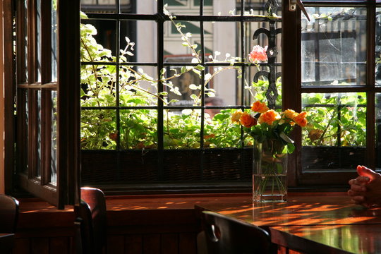 fenster