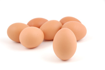 eggs