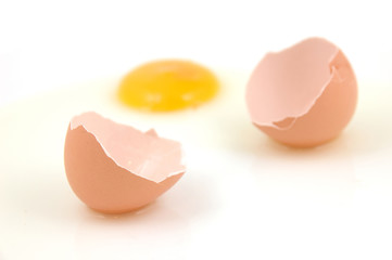 cracked egg with shallow dof