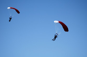 skydiver 10