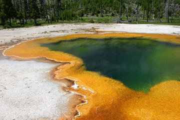 yellowstone pool