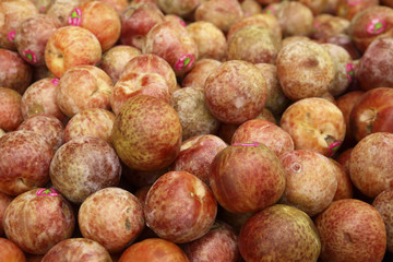 pluots for sale