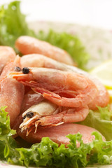 shrimps
