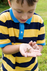 boy with a small frog