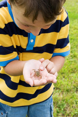 boy with a frog