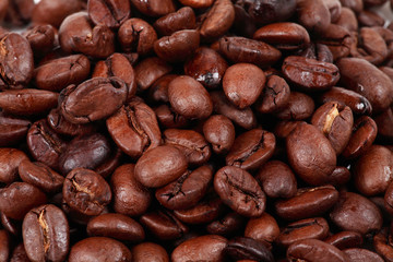 grains de café, kaffeebohnen
