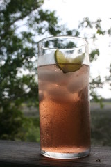 cranberry and seltzer