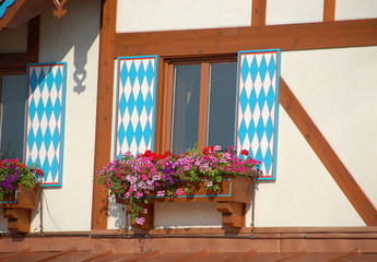 flower basket on window