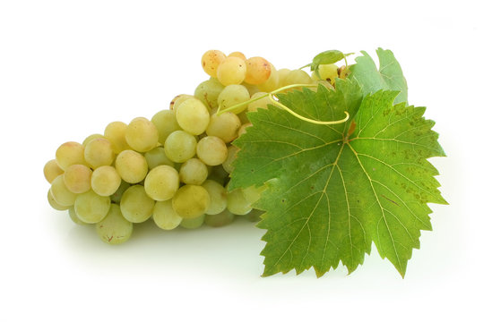 yellow grape cluster
