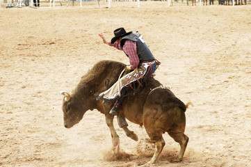 bull riding 1 - obrazy, fototapety, plakaty