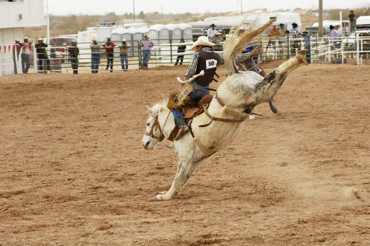 Saddle Bronc 1