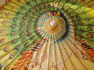 peacock umbrella