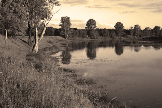 Fototapeta on the farm bw
