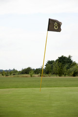 Obraz premium putting green pole golfowe 02