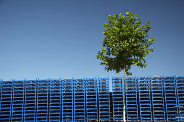 blaue paletten - blauer himmel - grüner baum