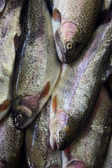 fresh fish