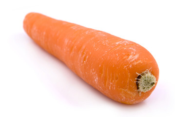 carrot