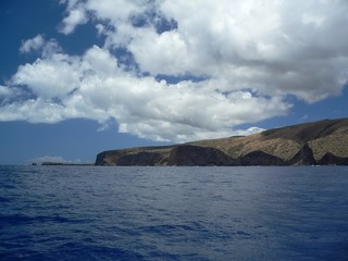 Fototapeta na wymiar hawaii coast
