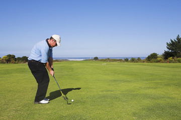 golf #21