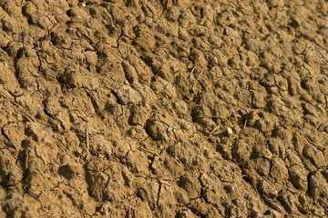 dry mud texture