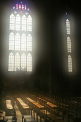 inside canterbury cathedral - obrazy, fototapety, plakaty
