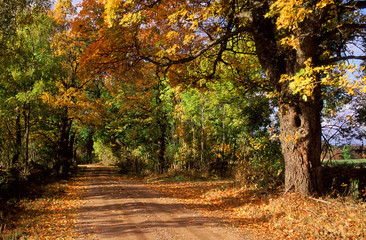 Fototapeta na wymiar jesień krajobraz