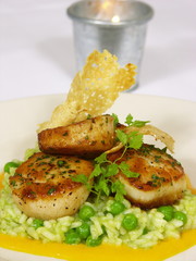pan seared scallops