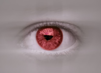 look red