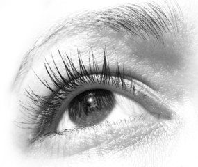 eye