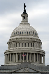 Obraz premium united states capital building with flag