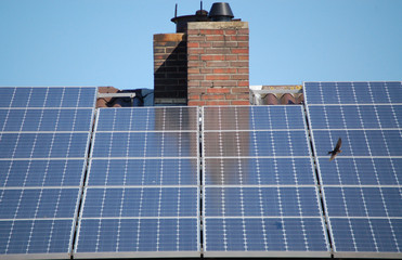 solarzellen