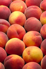 pêches