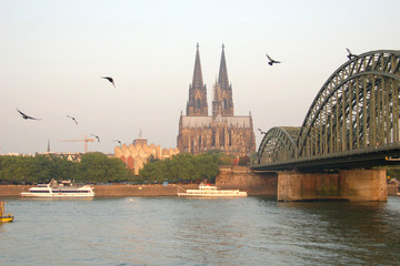 Naklejka premium kölner dom am morgen