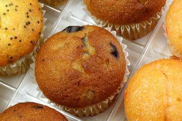 mini muffins